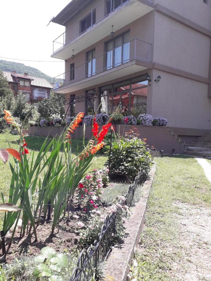 Guest House Dimitrije Niska Banja Εξωτερικό φωτογραφία