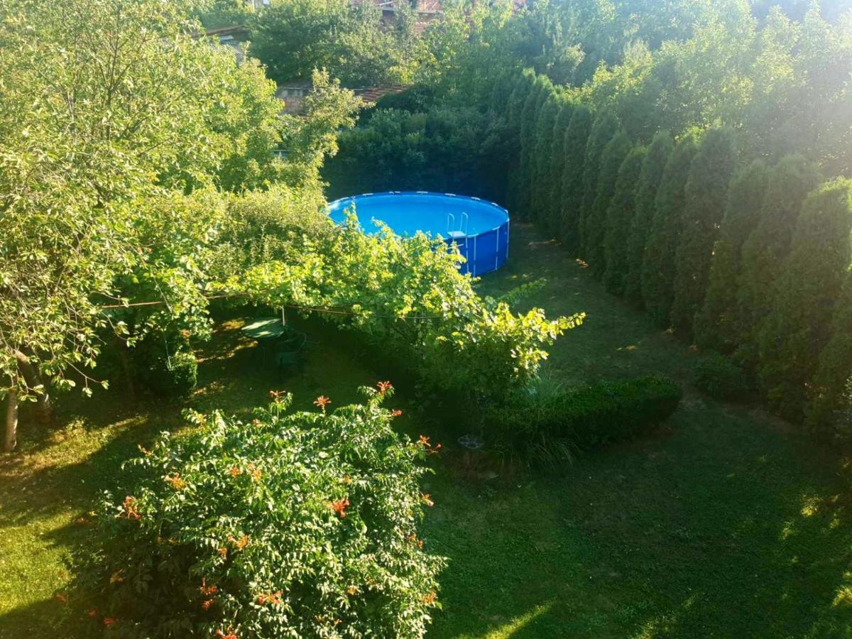 Guest House Dimitrije Niska Banja Εξωτερικό φωτογραφία